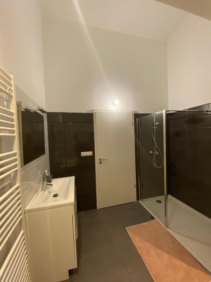 Luxury Loft Metzアパートメント エクステリア 写真